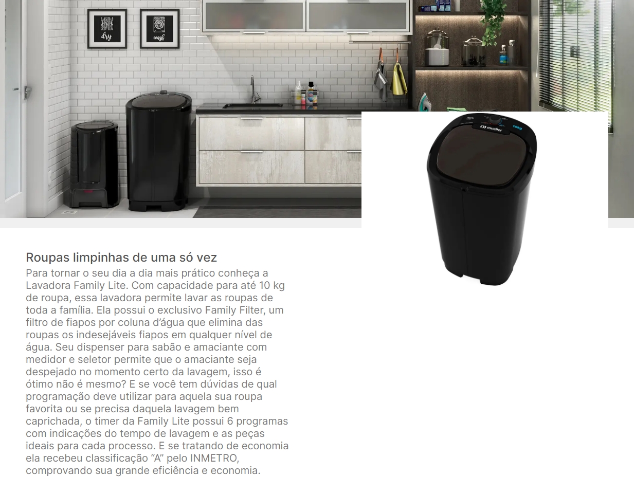 Tanquinho de Lavar Roupa Mueller Family Lite 10 kg Preto 220v (7)
