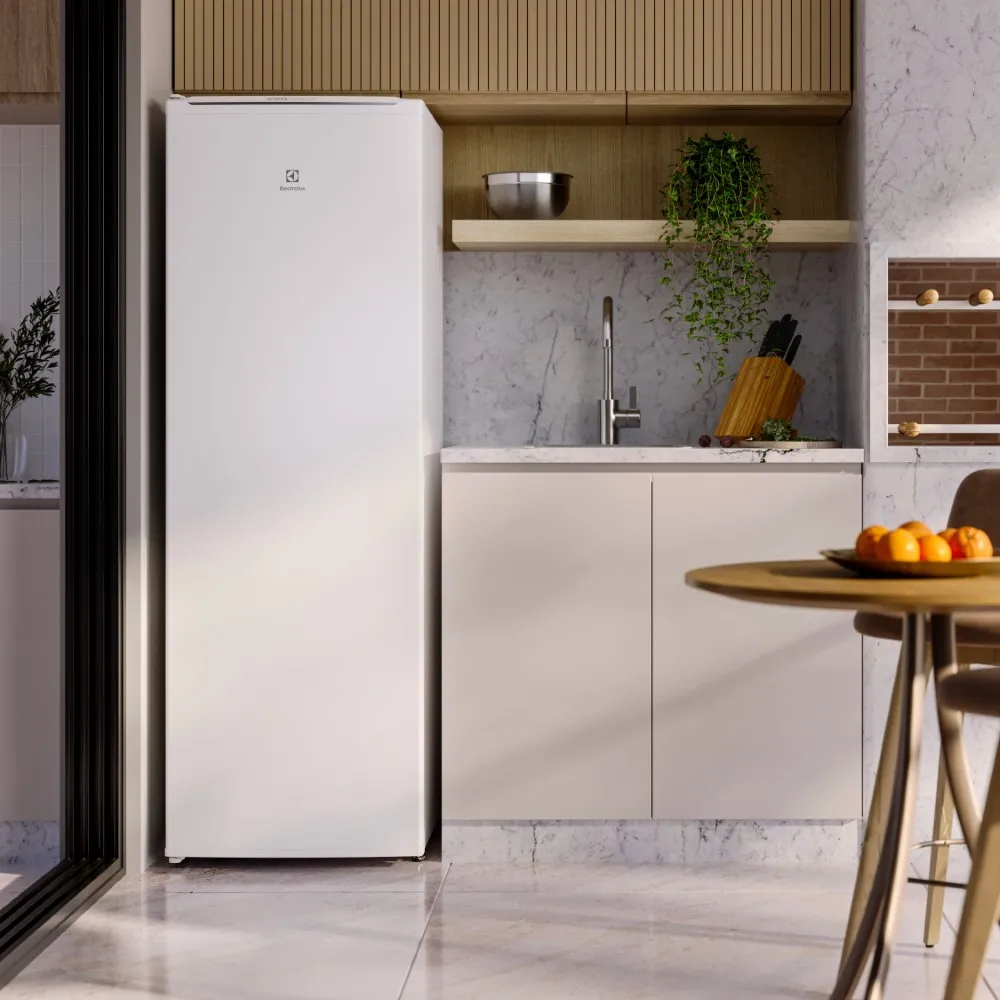 Freezer Vertical Electrolux FEI27 Inverter 234L 220V (7)