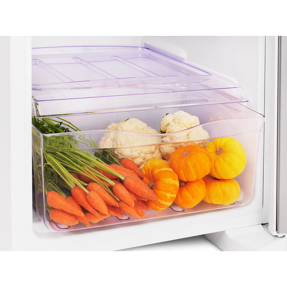 Refrigerador Electrolux RE-31 240L Cycle Defrost 1 Porta Branco 220V (9)